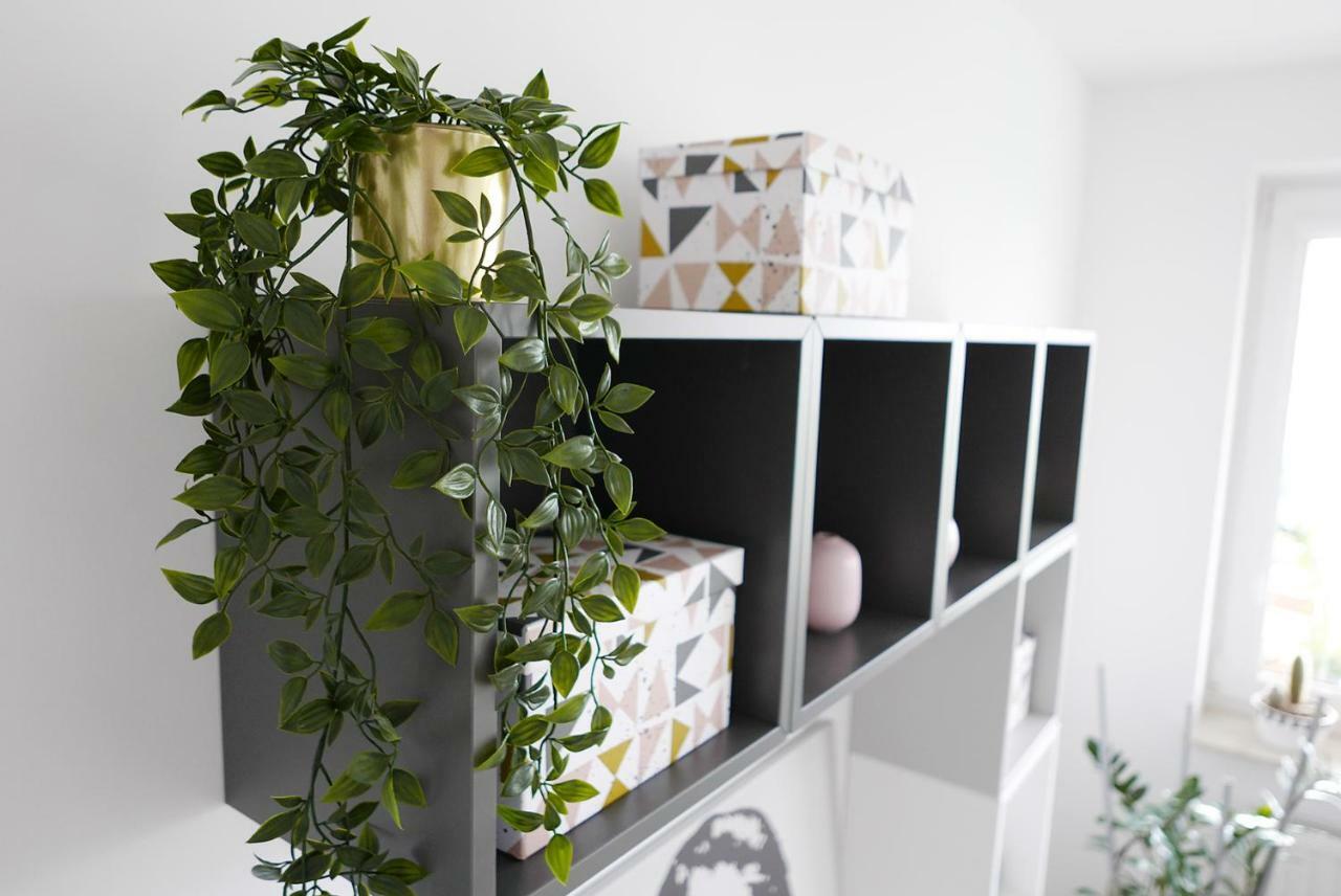 Apartament Jantarowa 卢布林 外观 照片
