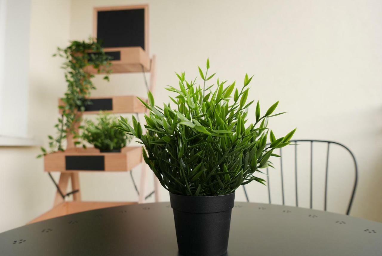 Apartament Jantarowa 卢布林 外观 照片