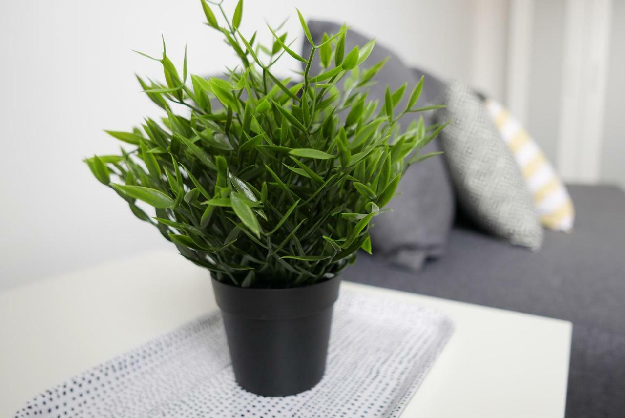 Apartament Jantarowa 卢布林 外观 照片
